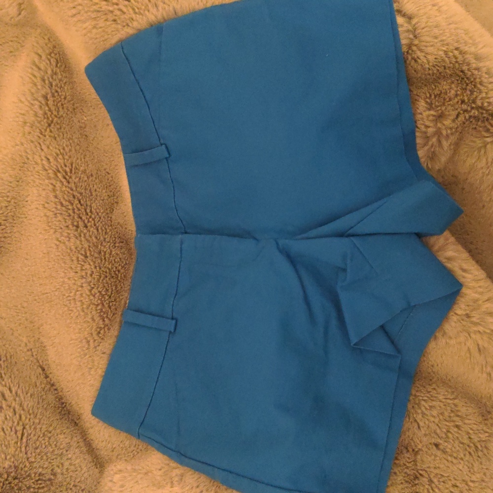 Anne Taylor shorts